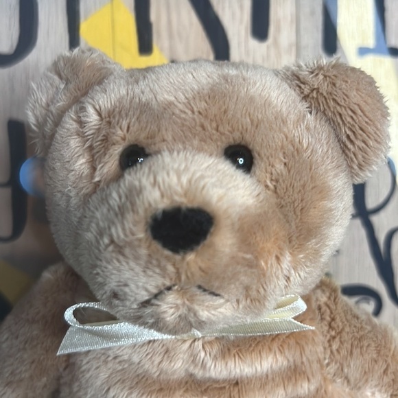 Too Blessed to Be Stressed Holy Bear Plush Stuufed Animal 🐻 2003 - Picture 12 of 14